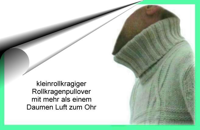 Rollkragenpullover