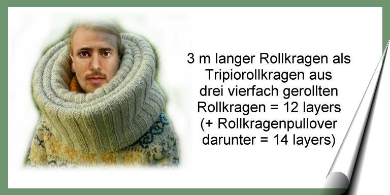 Rollkragenpullover