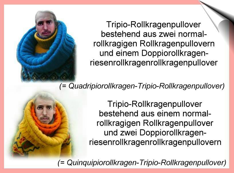 Rollkragenpullover