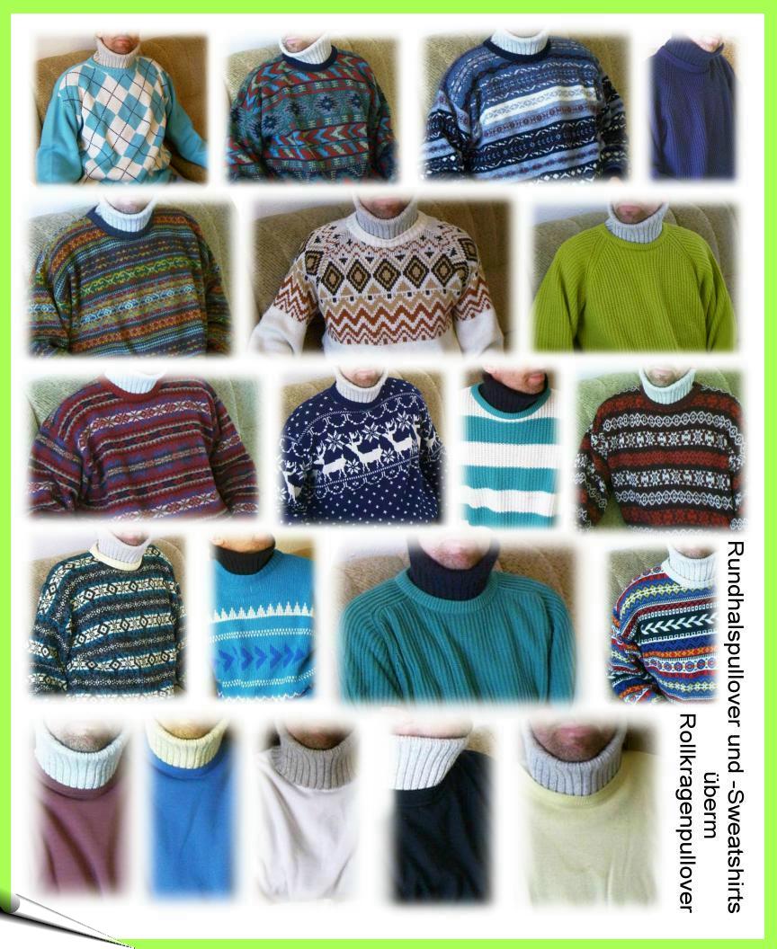 Rollkragenpullover