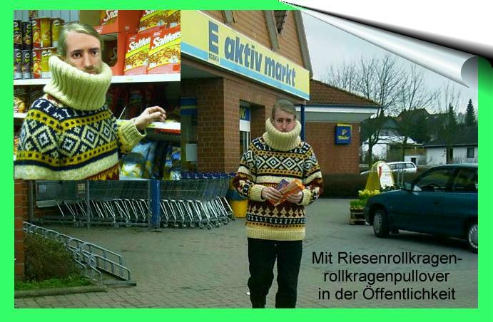 Rollkragenpullover