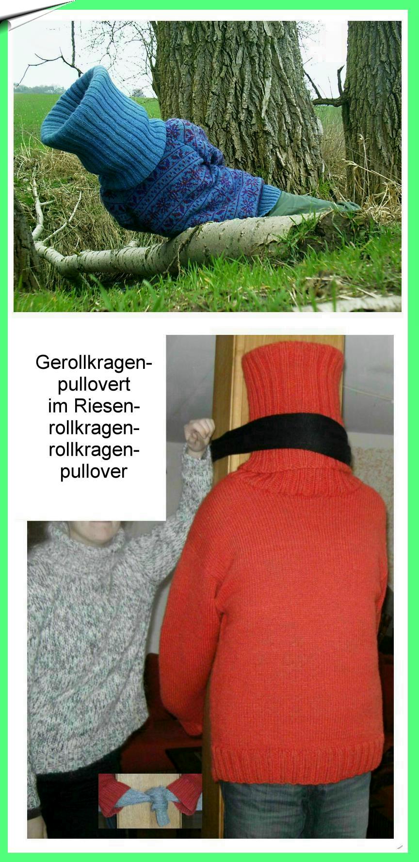 Rollkragenpullover