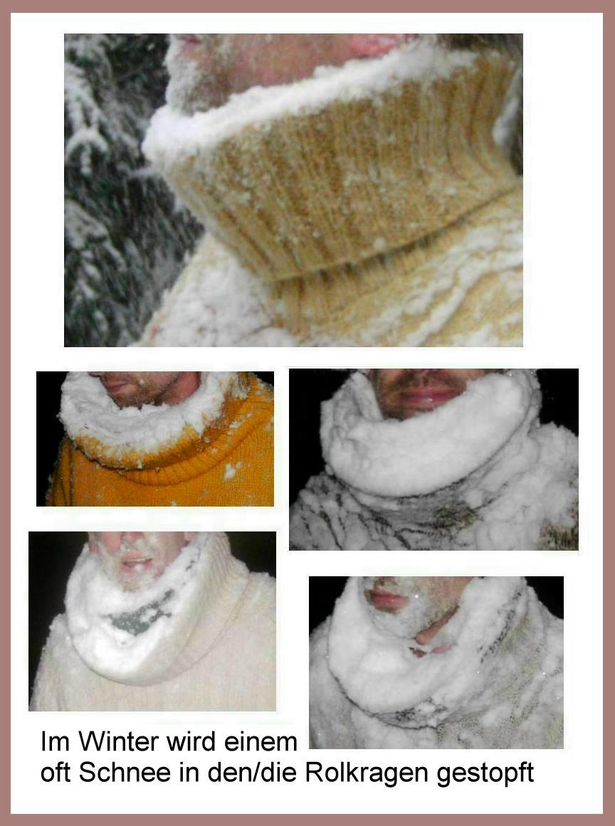 Rollkragenpullover