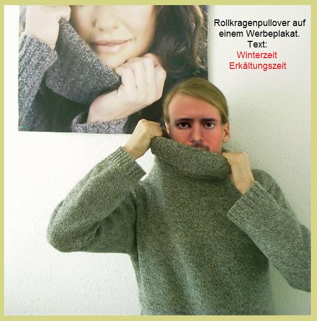 Rollkragenpullover
