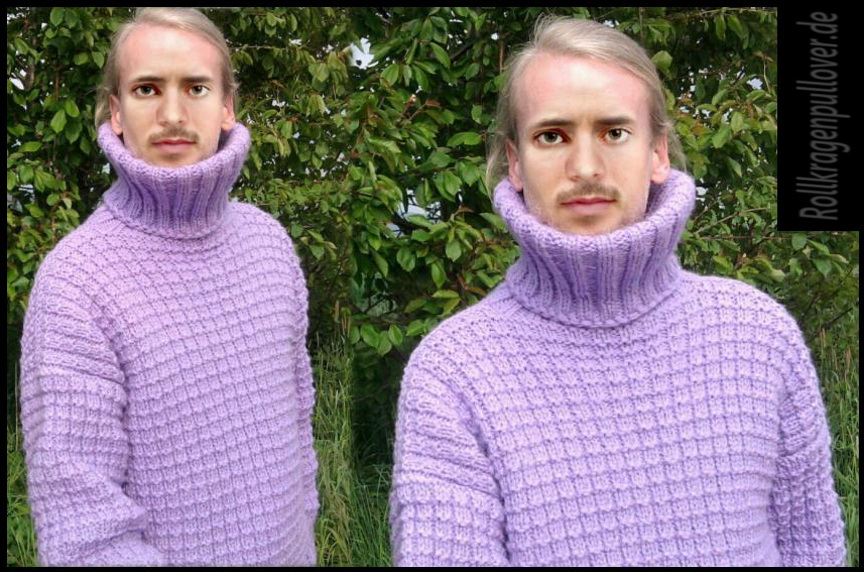 Rollkragenpullover