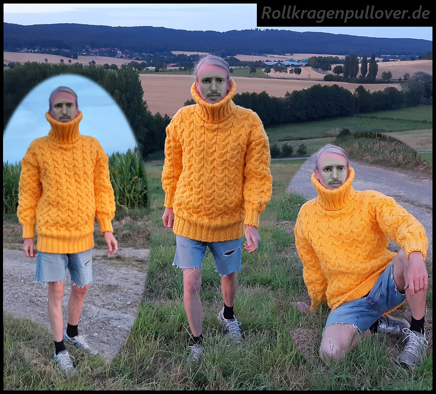 Rollkragenpullover