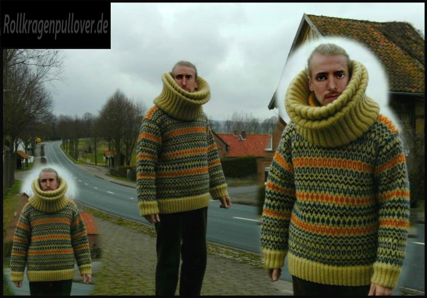 Rollkragenpullover