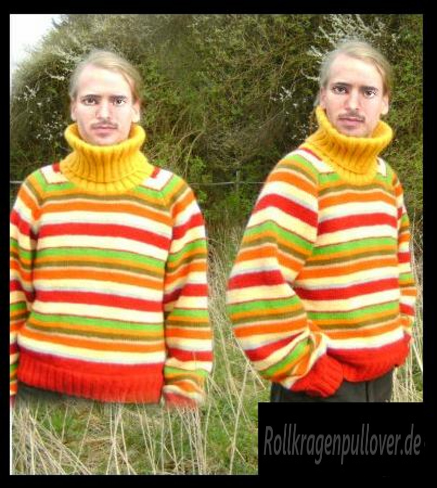 Rollkragenpullover