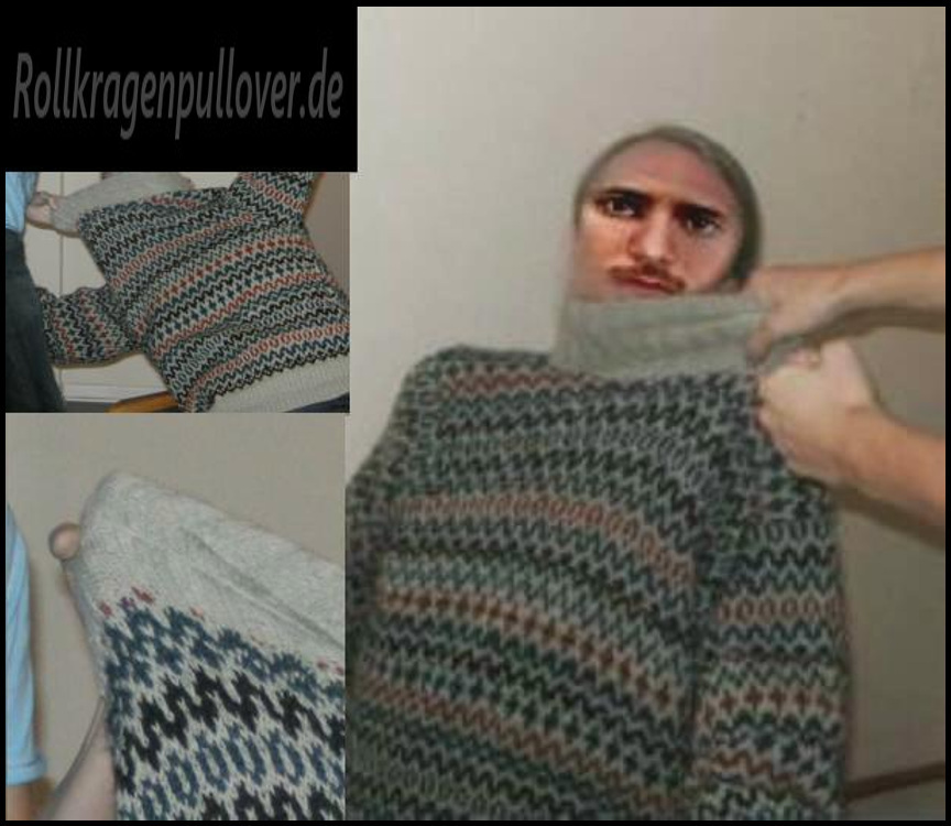 Rollkragenpullover