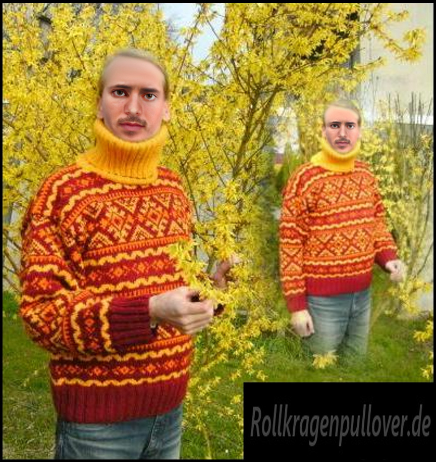 Rollkragenpullover