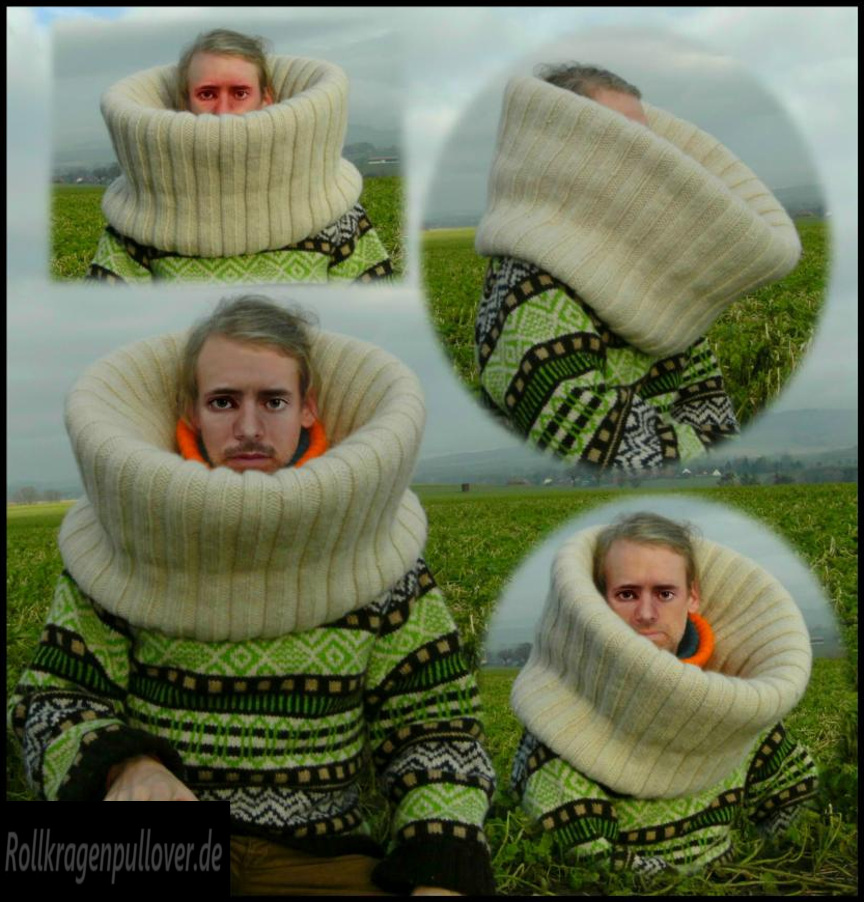 Rollkragenpullover