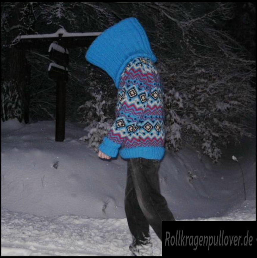 Rollkragenpullover