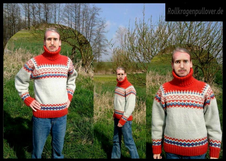 Rollkragenpullover