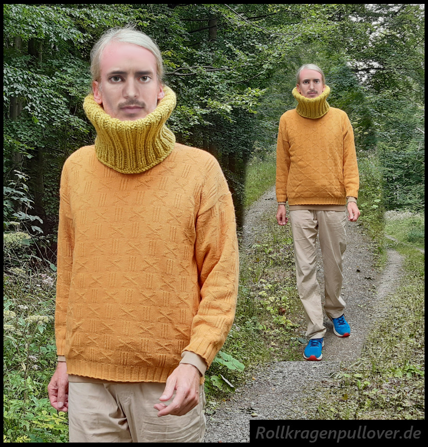 Rollkragenpullover