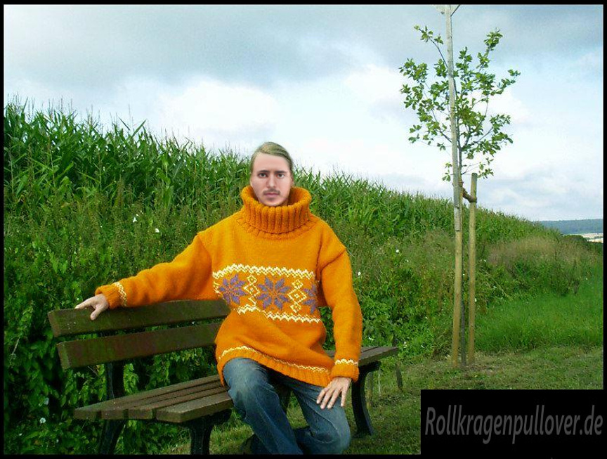 Rollkragenpullover