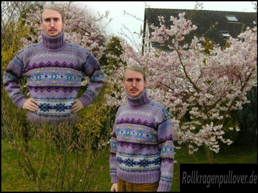 Rollkragenpullover