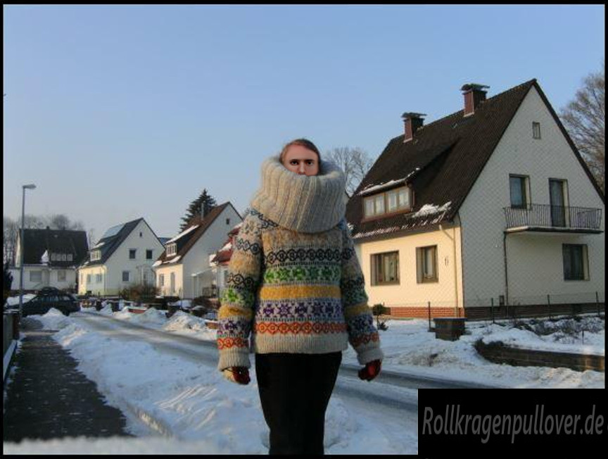 Rollkragenpullover