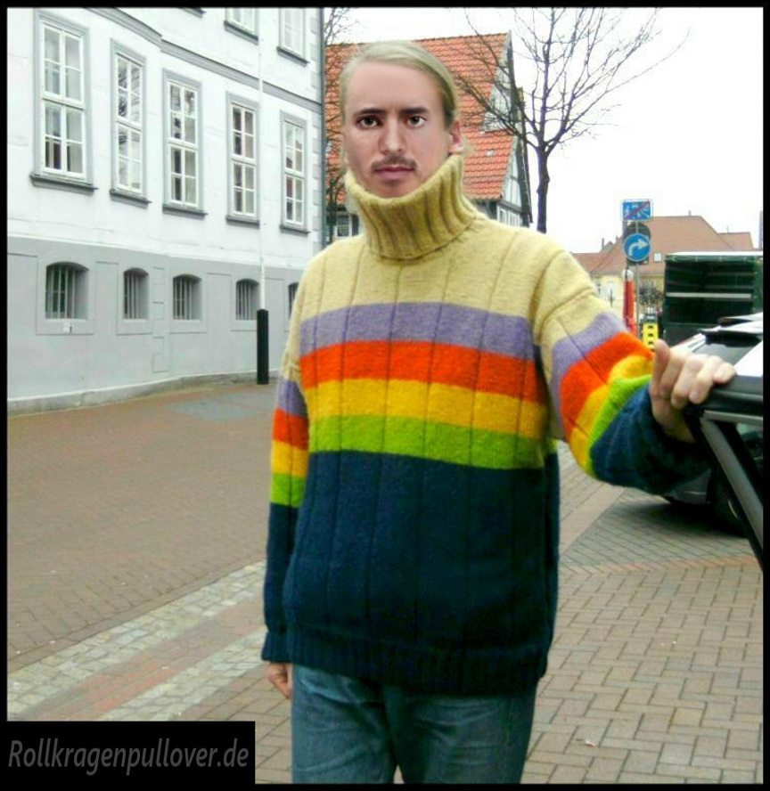 Rollkragenpullover