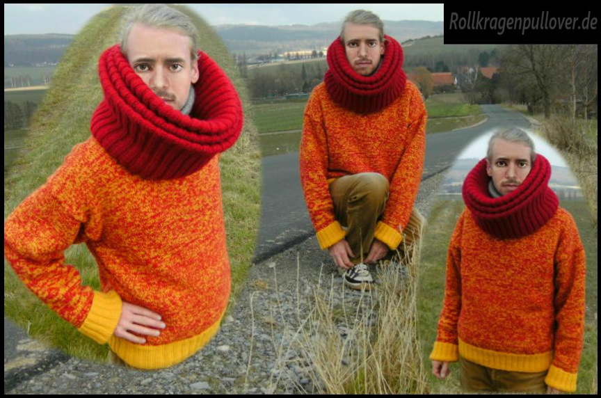 Rollkragenpullover