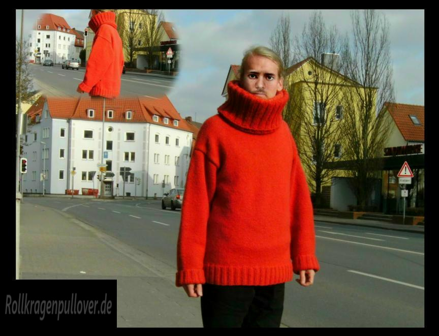 Rollkragenpullover