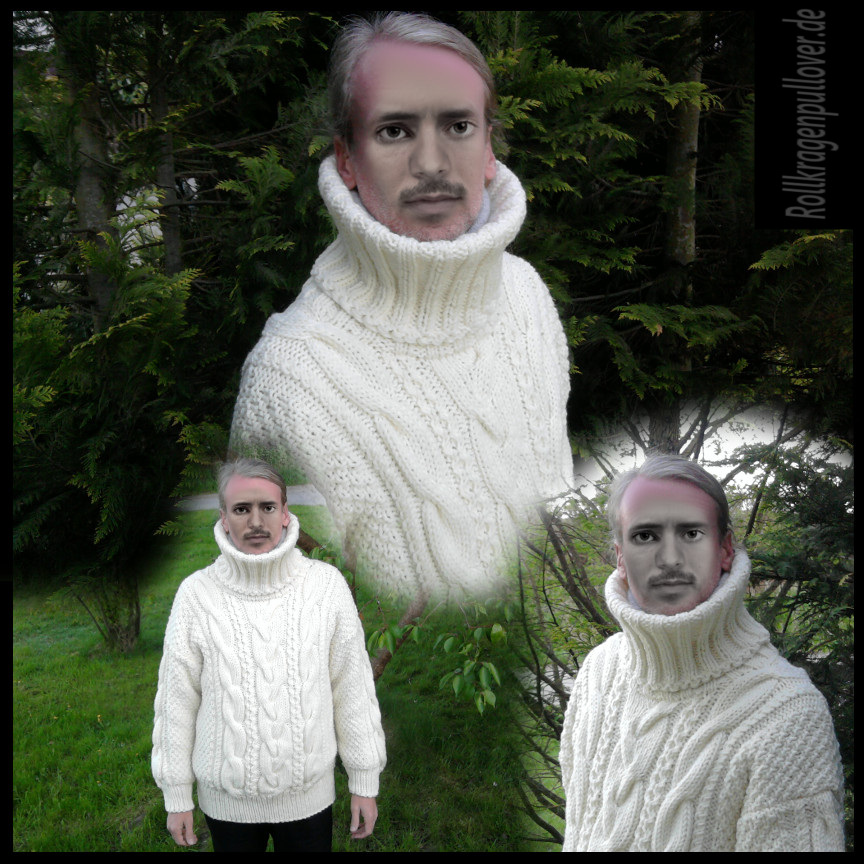 Rollkragenpullover