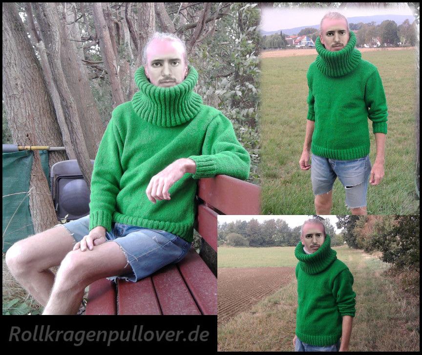 Rollkragenpullover