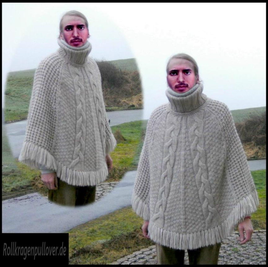 Rollkragenpullover