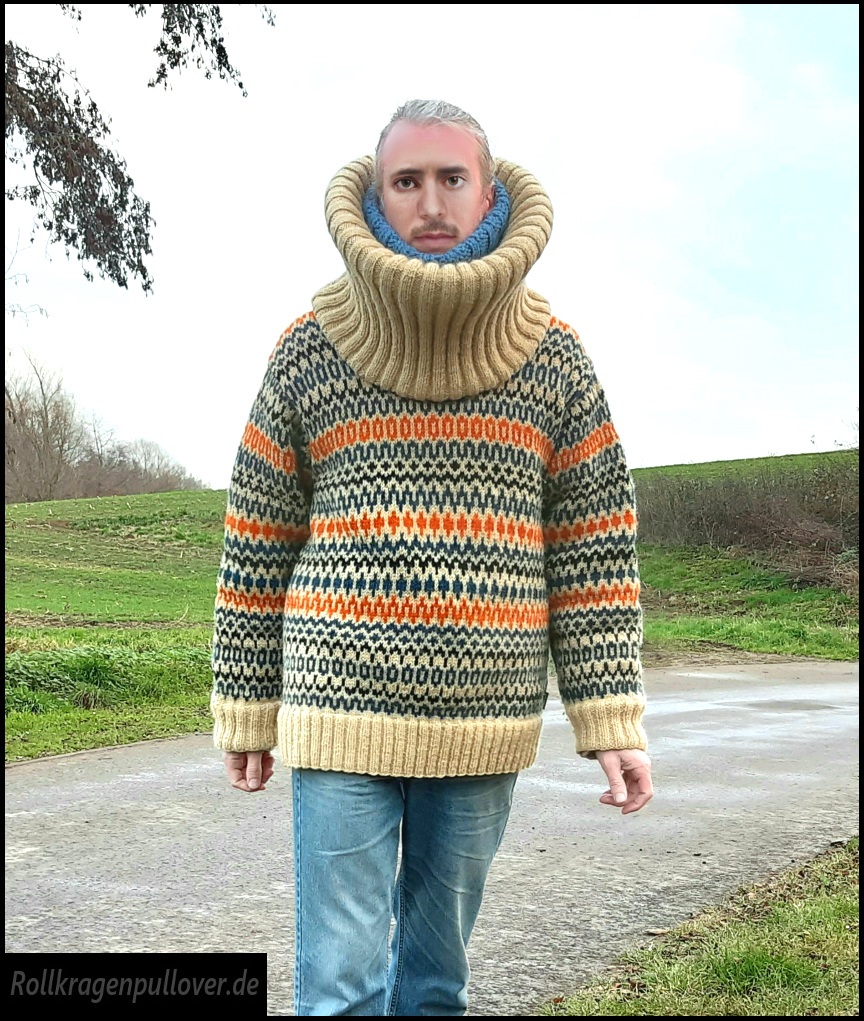 Rollkragenpullover