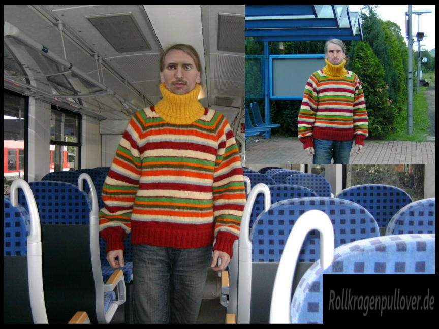 Rollkragenpullover