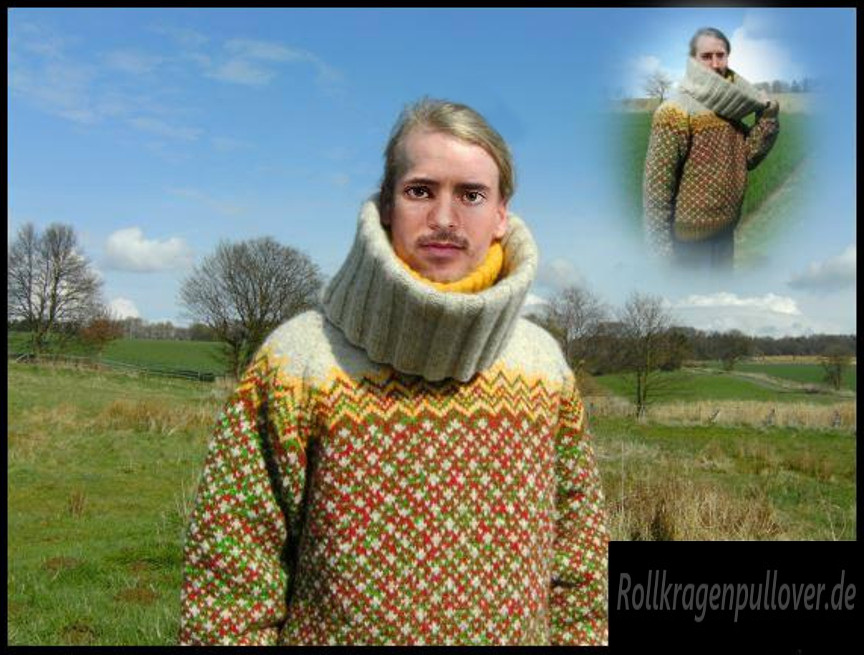 Rollkragenpullover