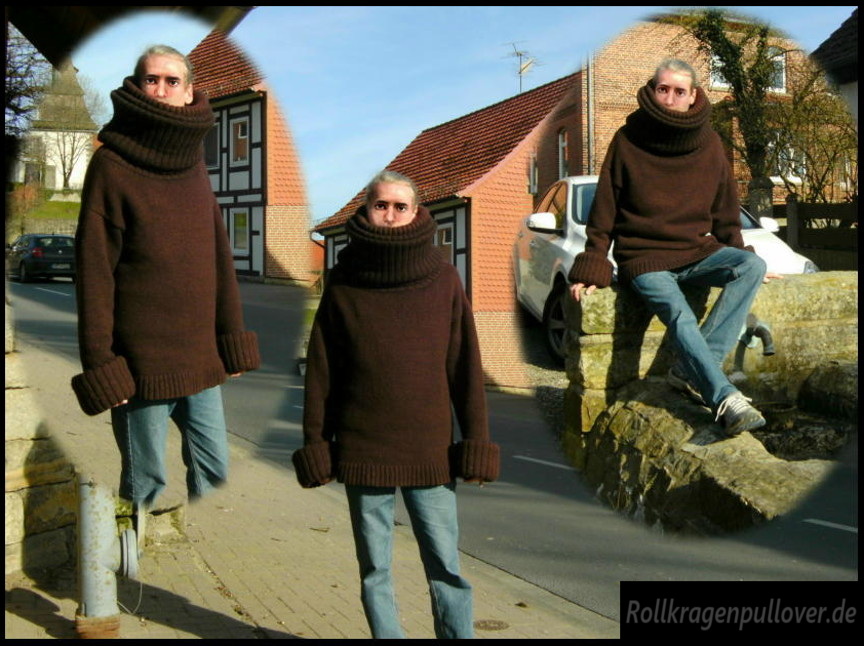 Rollkragenpullover