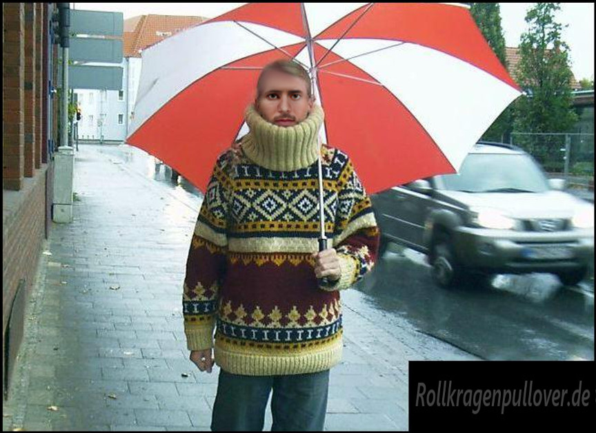 Rollkragenpullover