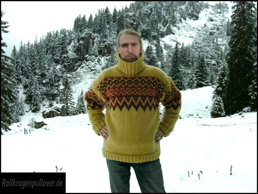 Rollkragenpullover