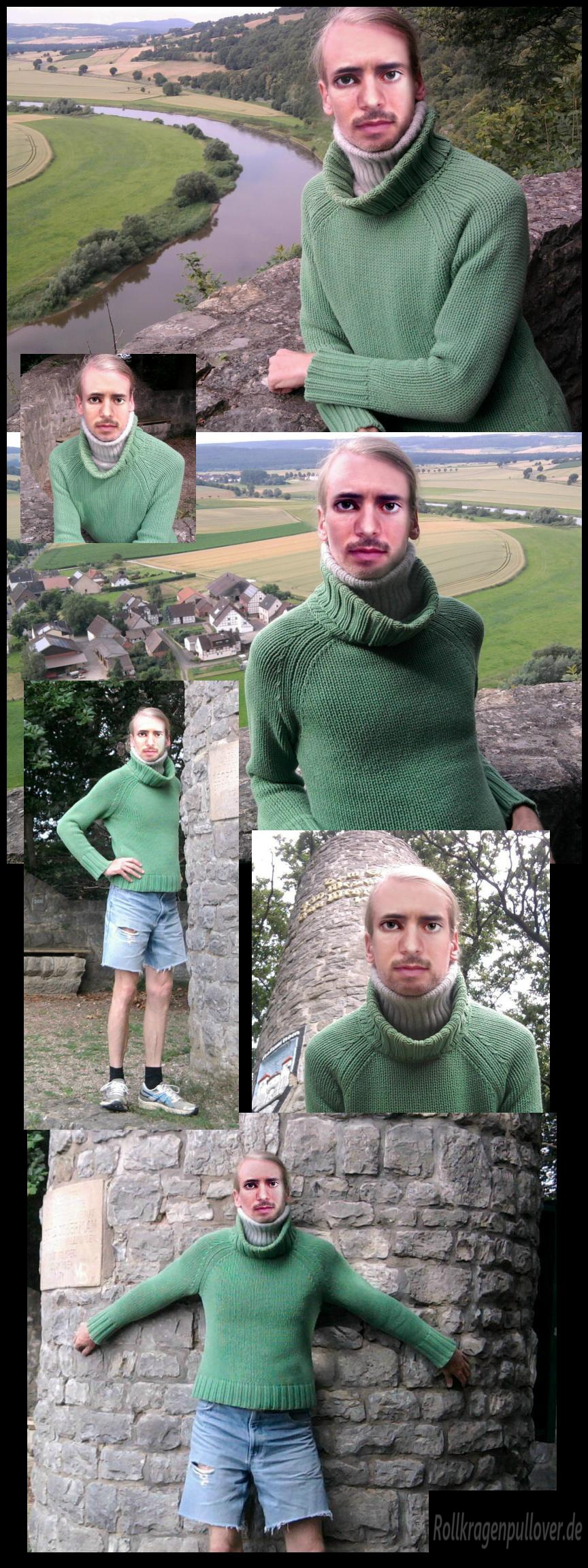 Rollkragenpullover