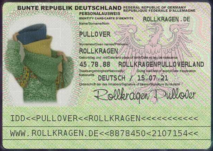 Rollkragenpullover