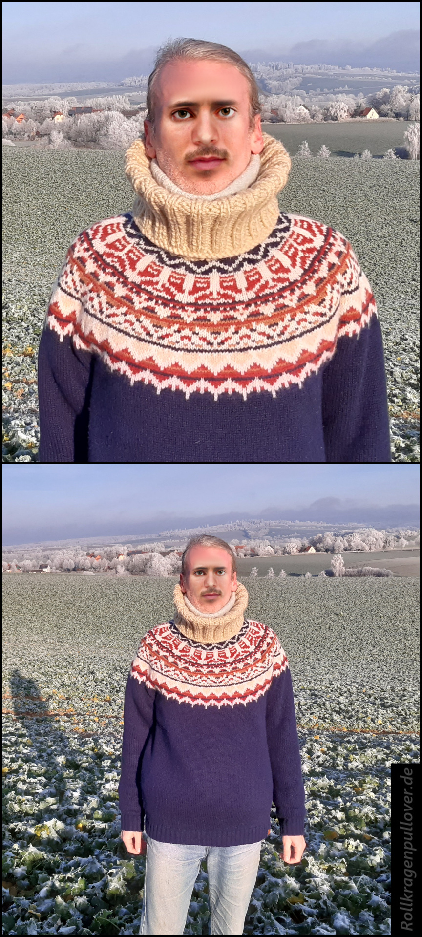 Rollkragenpullover