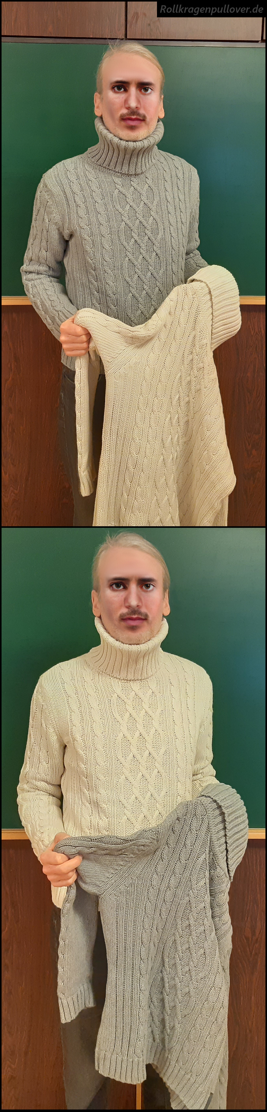 Rollkragenpullover