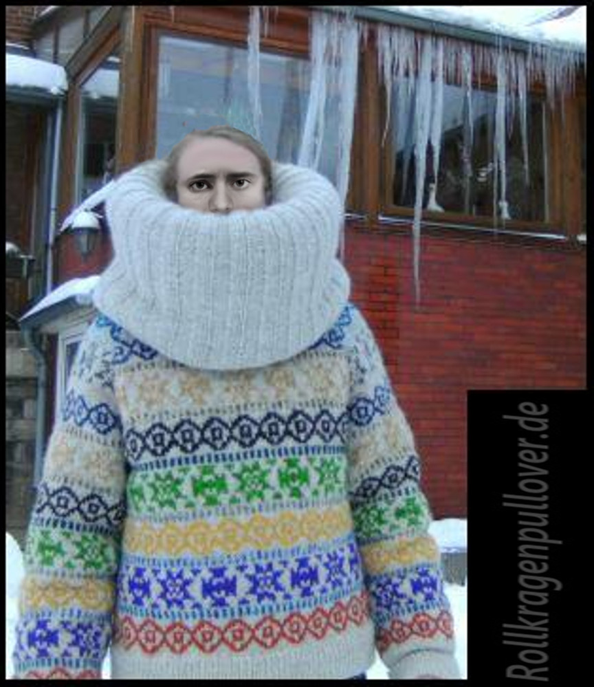 Rollkragenpullover