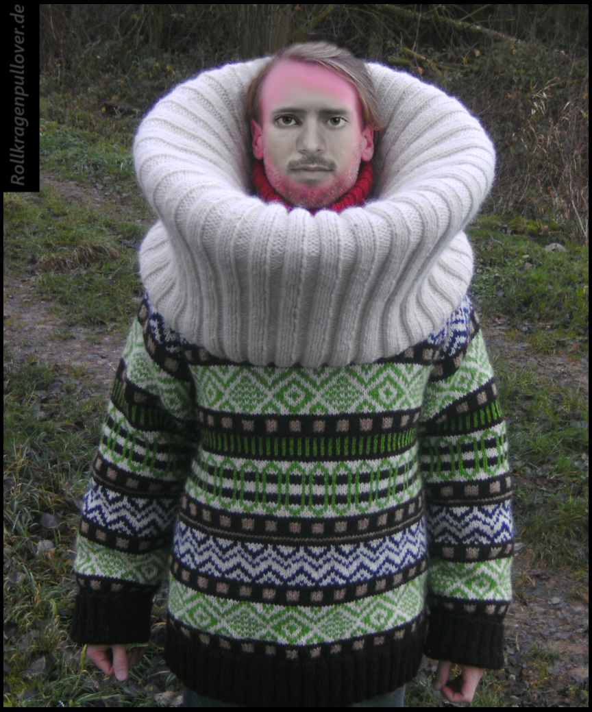 Rollkragenpullover