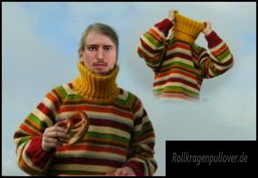 Rollkragenpullover