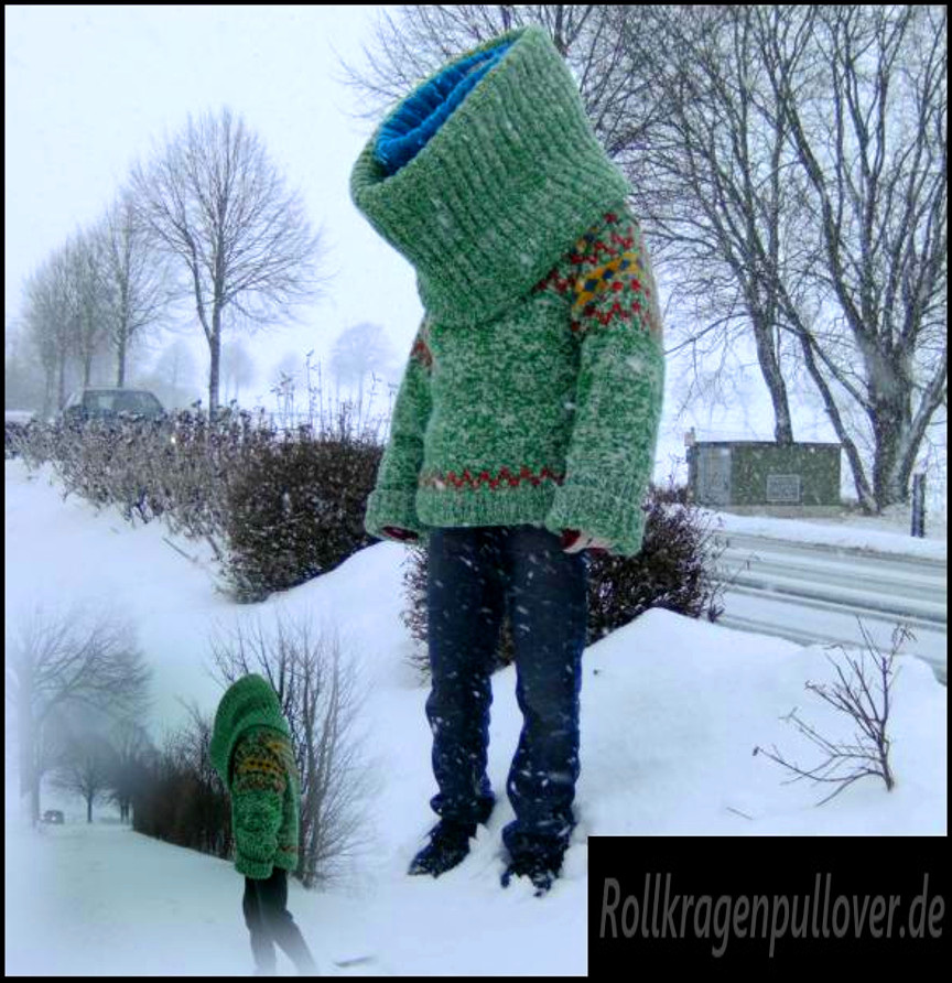 Rollkragenpullover