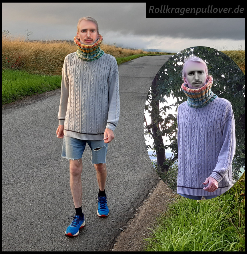 Rollkragenpullover