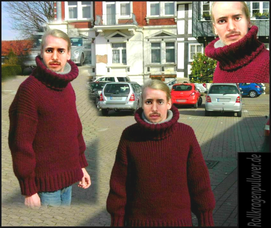 Rollkragenpullover