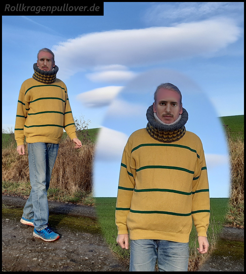 Rollkragenpullover