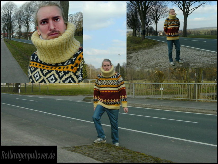 Rollkragenpullover