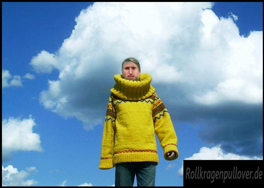 Rollkragenpullover