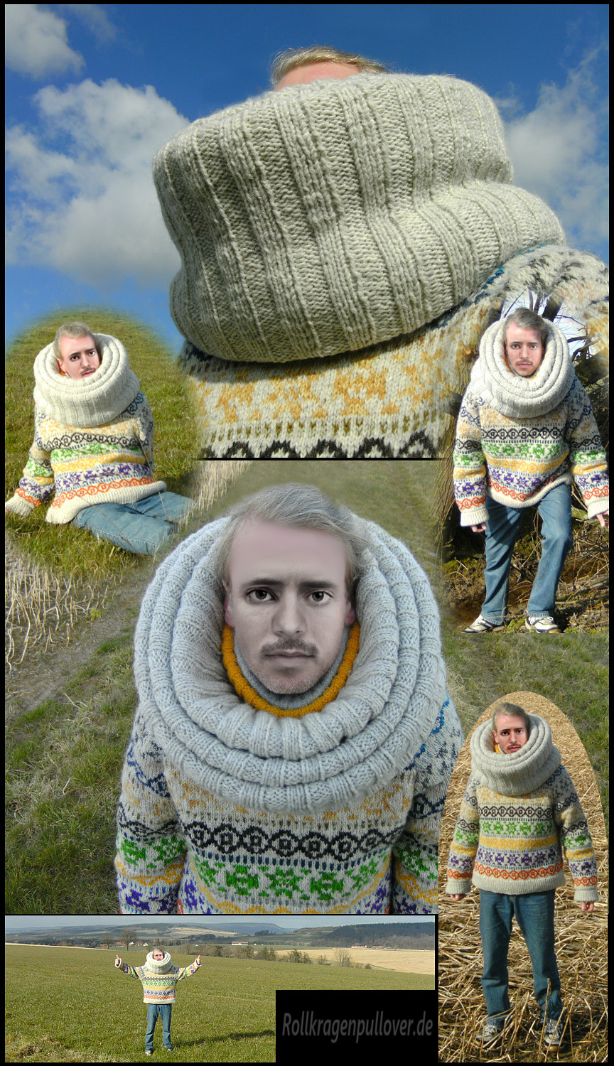 Rollkragenpullover