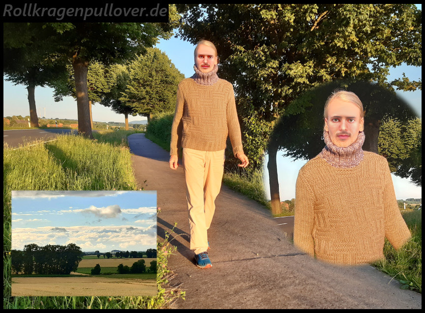 Rollkragenpullover