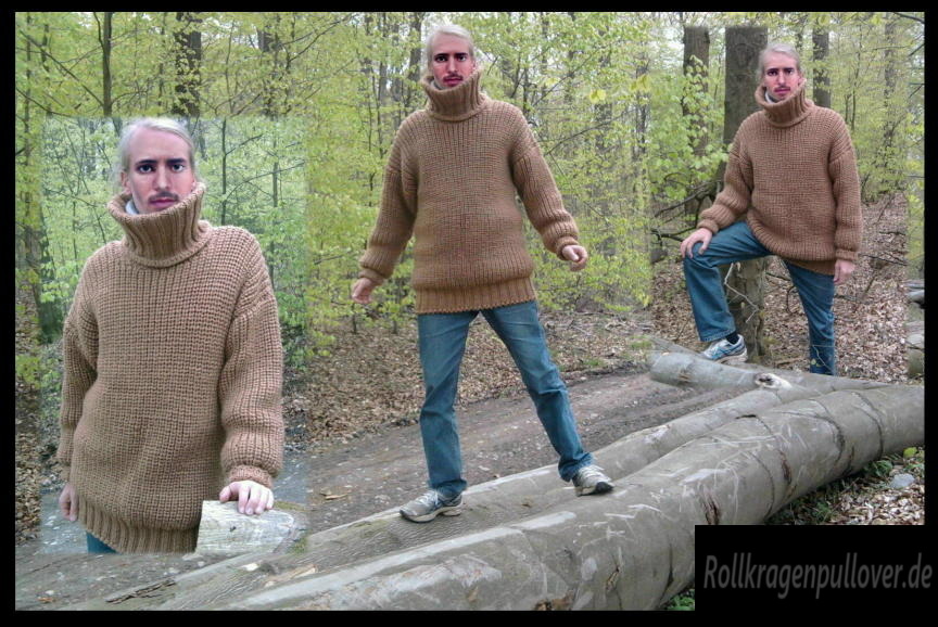 Rollkragenpullover