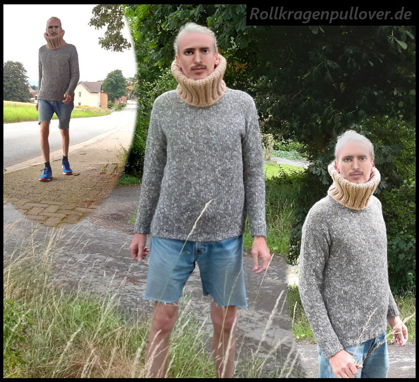 Rollkragenpullover